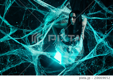 Girl in spiders web Girl in spiders web 28669652