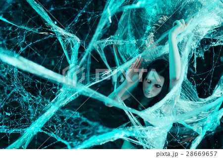 Girl in spiders web Girl in spiders web 28669657