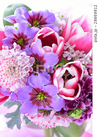 チューリップの花束 チューリップの花束 28669912