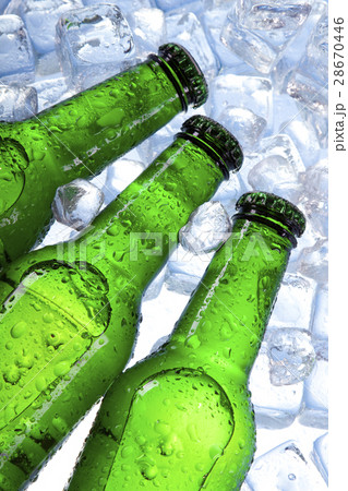 Perfectly chilled beer, in ideal yellow color 28670446