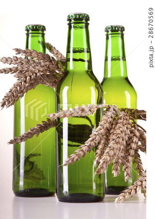 Perfectly chilled beer, in ideal yellow color 28670569