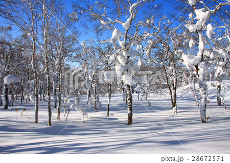 朝の雪原～幌滝山周辺の冬景色 28672571