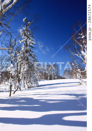 朝の雪原～幌滝山周辺の冬景色 28672574