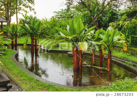 Water Palace of Tirta Gangga. Landmark in Bali 28673203