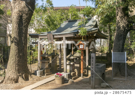 上目黒氷川神社 28675475