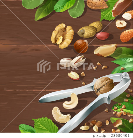 Vector illustration of nutcracker and nuts 28680401