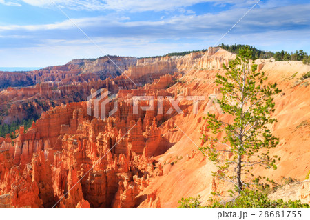 Panorama from Bryce Canyon National Park, USA Panorama from Bryce Canyon National Park, USA 28681755