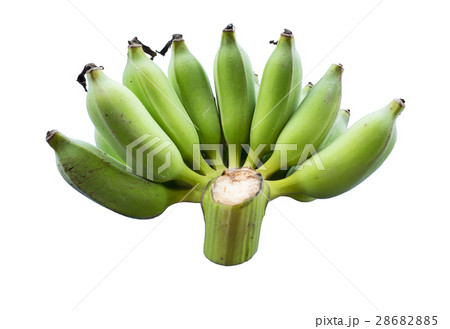 Banana unripe one bunch on white background Banana unripe one bunch on white background 28682885
