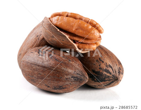 four pecan nuts isolated on white background four pecan nuts isolated on white background 28685572