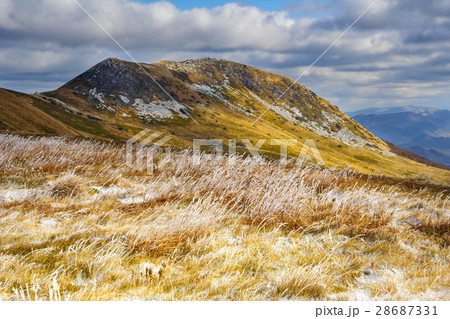 walking trail in Bieszczady mountain in Poland 28687331