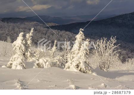 Winter mountain scenery in Bieszczady mountains Winter mountain scenery in Bieszczady mountains 28687379