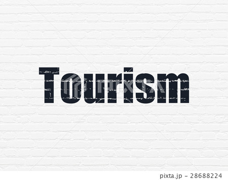 Vacation concept: Tourism on wall background 28688224