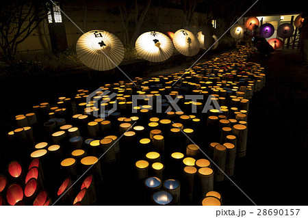 山鹿百華百彩 山鹿百華百彩 28690157