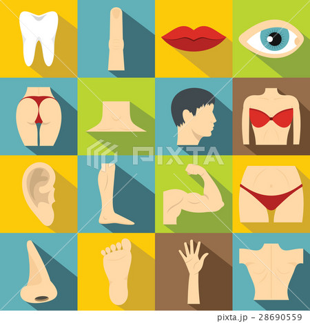 Body parts icons set, flat style 28690559