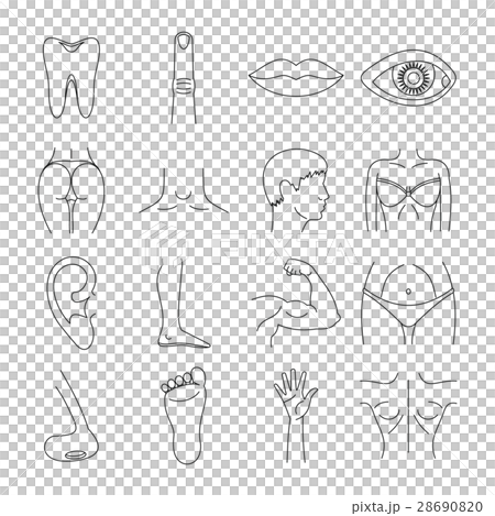 Body parts icons set, outline style 28690820