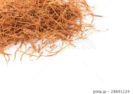 キャッツクロー樹皮: Cat's claw bark キャッツクロー樹皮: Cat's claw bark 28691134