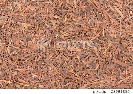 ラパチョ（パウダルコ）樹皮: Pau d"arco bark 28691856