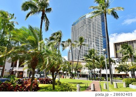 ハワイの休日 28692405