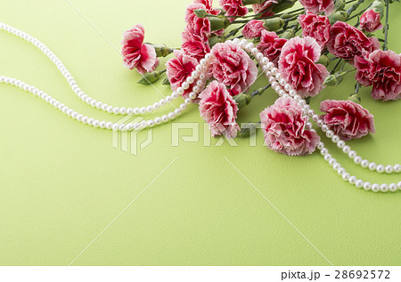 カーネーション カーネーション 28692572