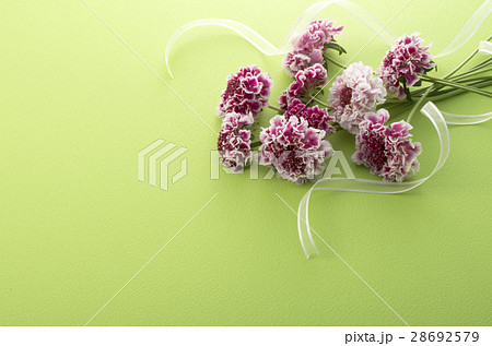 春の花のイメージ 28692579