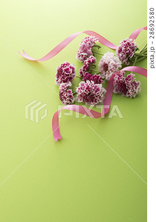 春の花のイメージ 28692580