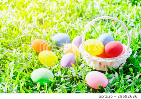 Easter eggs in basket on green meadow grass 28692636