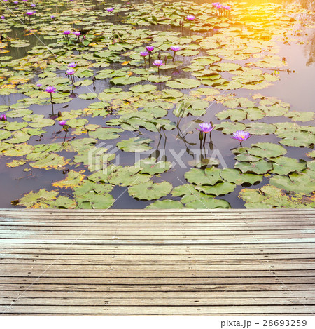 Wooden texture floor and lotus blossom blooming on pond 28693259