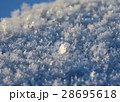 北海道の雪 28695618