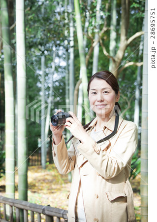 ミドル女性 28695751