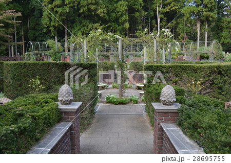 七ツ洞公園へ行きました　＃5 28695755