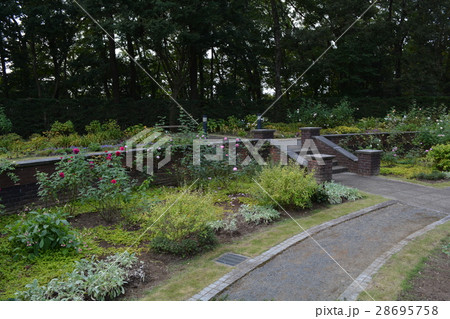 七ツ洞公園へ行きました　＃6 28695758