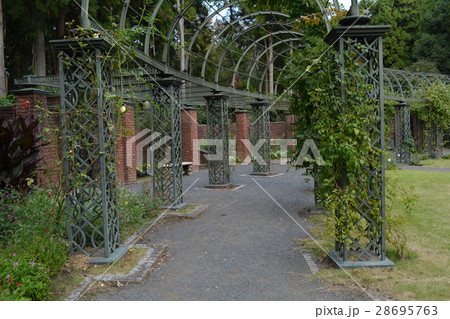 七ツ洞公園へ行きました　＃9 28695763