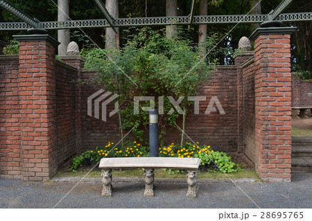 七ツ洞公園へ行きました　＃10 28695765