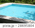 夏のプールにて 28695804