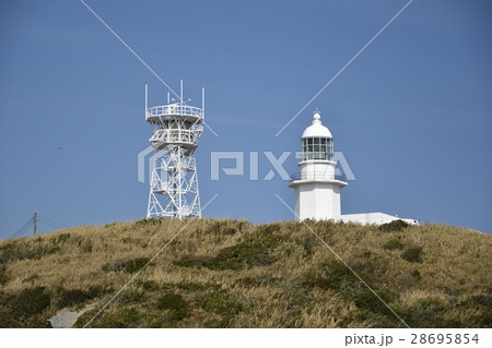 早春の三浦半島 【神奈川県】 剱崎灯台 28695854