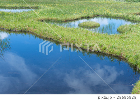 鳥海山と池塘 28695928