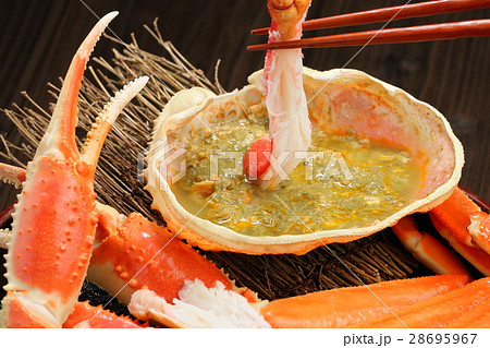 ズワイガニ 28695967