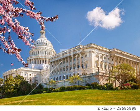 US Capitol at spring sunny day 28695999