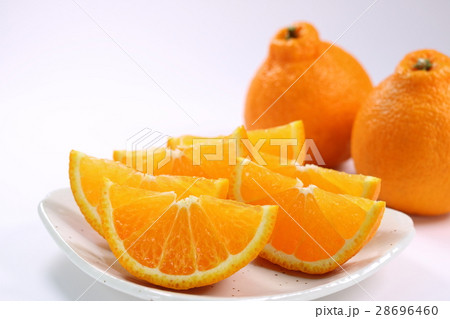 デコポン 28696460