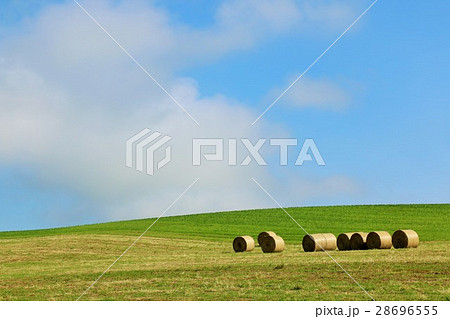 北海道　高原の牧草ロール 28696555