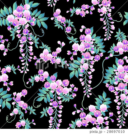 和調 藤柄 和調 藤柄 28697010