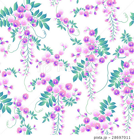 和調　藤柄 28697011