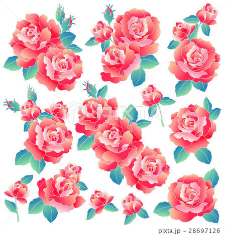 上薔薇 イラスト 素材 美しい花の画像