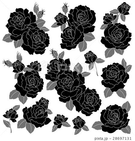 和調 薔薇の素材 28697131