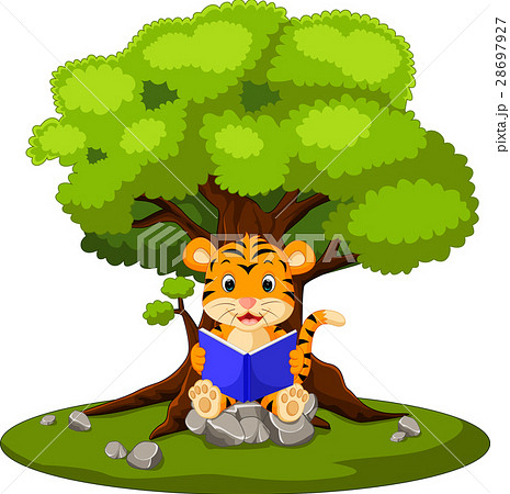 tiger reading book and sitting on the stone 28697927