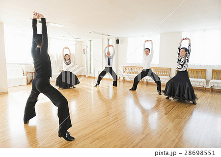 社交ダンス 社交ダンス 28698551
