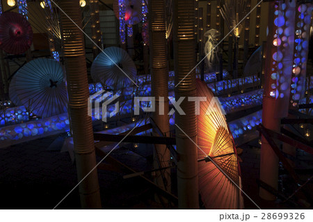 山鹿百華百彩 28699326