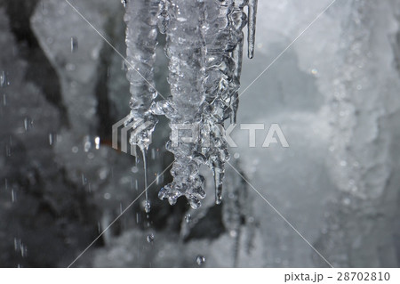 氷柱 28702810