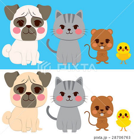 Domestic Pets Domestic Pets 28706763