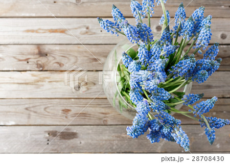 Bouquet of muscari flowers in glass vase. Wooden Bouquet of muscari flowers in glass vase. Wooden 28708430
